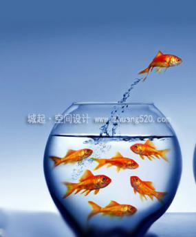 辦公室養(yǎng)魚(yú)有哪些講究？