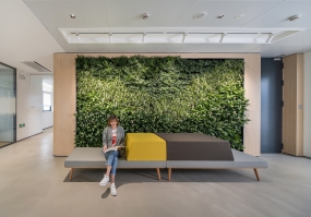 辦公室綠植墻圖片大全