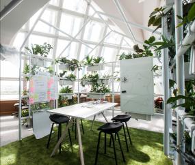 最新辦公室植物裝修設計效果圖