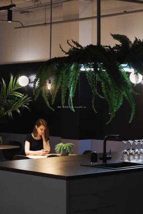 辦公室綠植擺放設(shè)計(jì)裝修效果圖