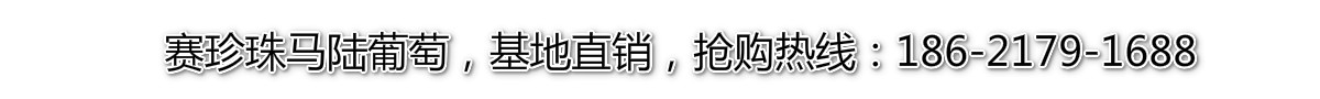 工裝效果圖